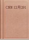 CNN 12月291